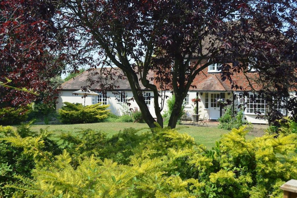 The Willow Studio - Peaceful Retreat Near Whitstable Seaside Faversham Exterior photo
